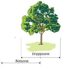 Figur 3.1 Drypp- og rotsone 2.5 