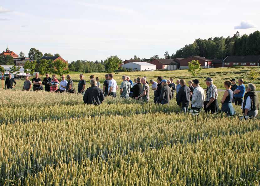 Jord- og Plantekultur 2019 / NIBIO BOK