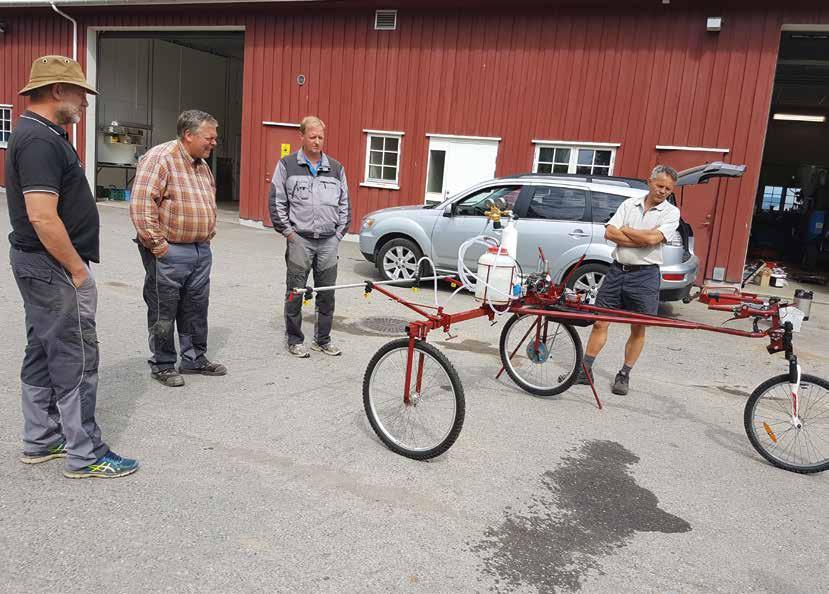 Jord- og Plantekultur 2019 / NIBIO BOK