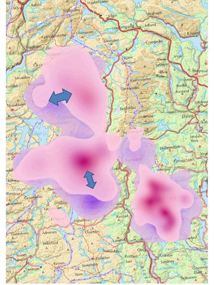 Reinens bruk av Setesdalsheiene; Hovedtrekk Kalving og sommer Vi har observert mindre forflytninger på vestheia I sør er det en svak tendens til at dyra trekker noe sørover gjennom sommeren I nord;