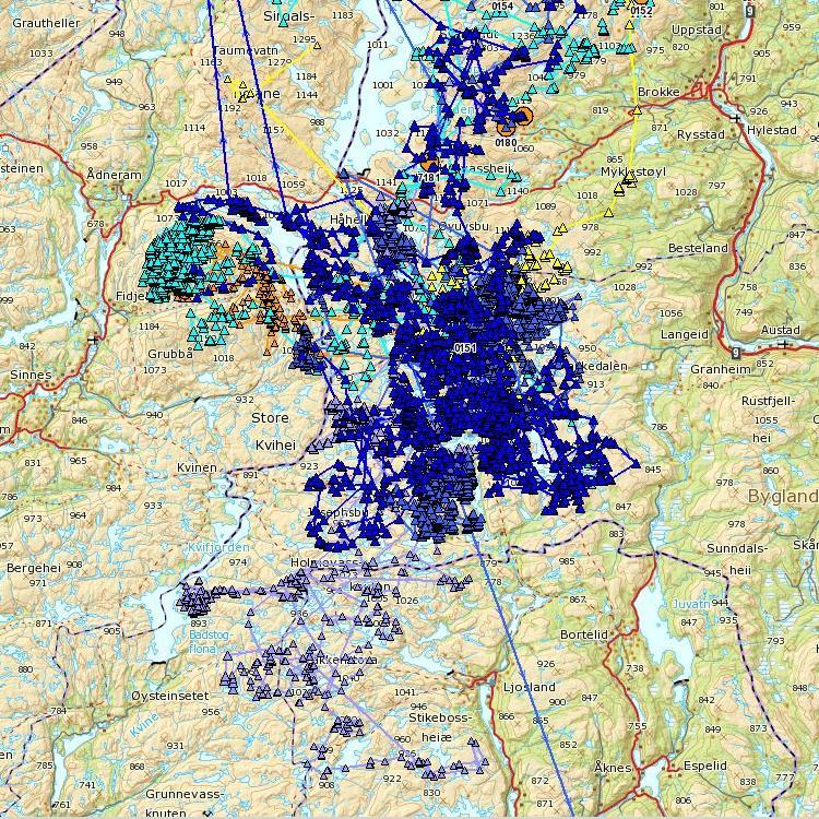 Bukk (2013-2014) Sørområdet: Norsk Villreinsenter Sør, Skinnarbu,