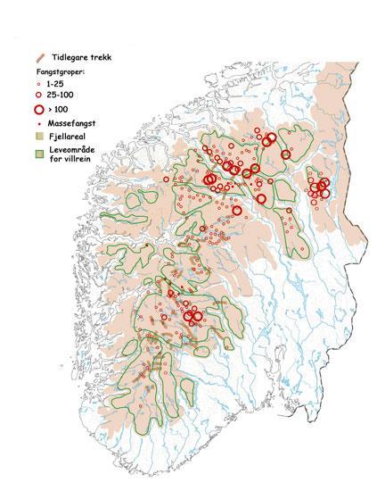 løpet av prosjektperioden.