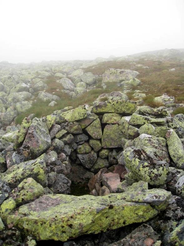 mens simler som opprinnelig ble merka i SA er vist med