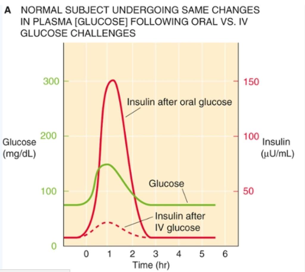 Kraftigere insulinfrisetting når glukose gis per os Forklaringen er inkretiner: Inkretiner er hormoner som frisettes fra tarmen og som