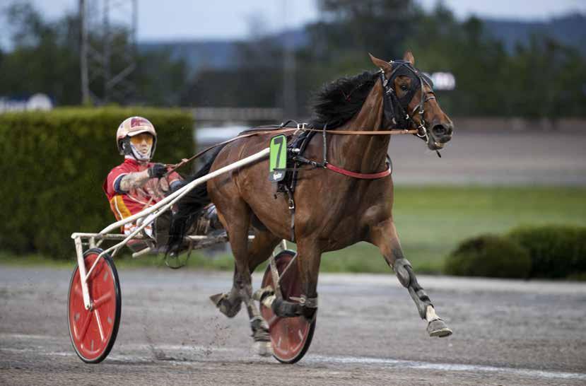 TRAVPROGRAM LØRDAG Sørlandets 13. juli TRAVPARK Start 1. løp kl. 19.30 V65 kl. 19.30 V5 kl. 20.10 DD kl.