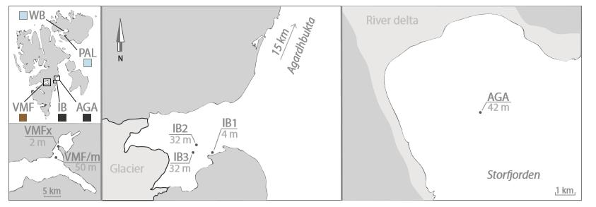 Undersøkelsesområde ismeiofauna For ismeiofauna er det et stasjonsnettverk i Van Mijenfjorden og enkelt stasjoner i Inglefieldbukta og Agardh (Storfjorden) vi har mest data fra, samt