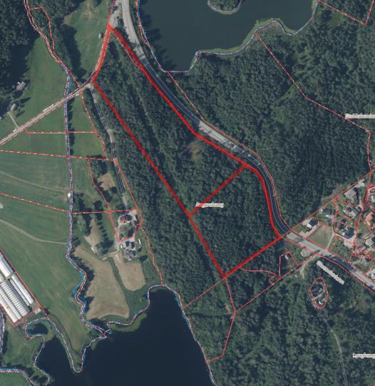 Lnf-område Området ligg i Tørvikbygd, langs med Fv-49. Store delar av området er blandingsskog Føreslått bustadareal utgjer om lag 18,5 daa. Føreslått næringsareal utgjer ca 32 daa.