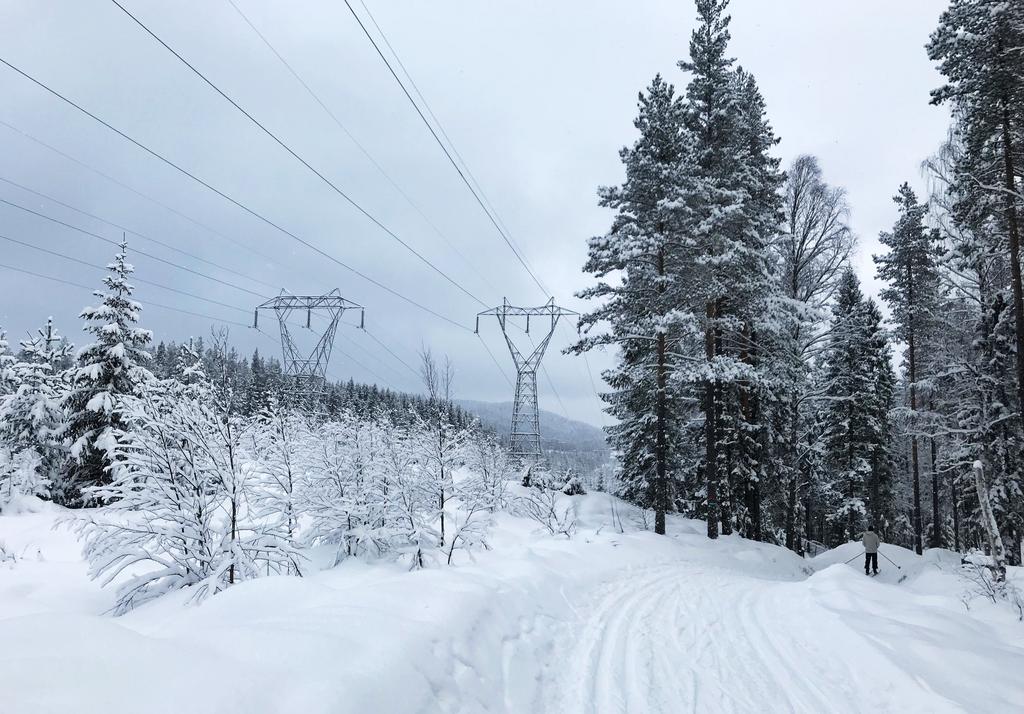 HØRINGSDOKUMENT Nr 4/2019 Forslag til endring i