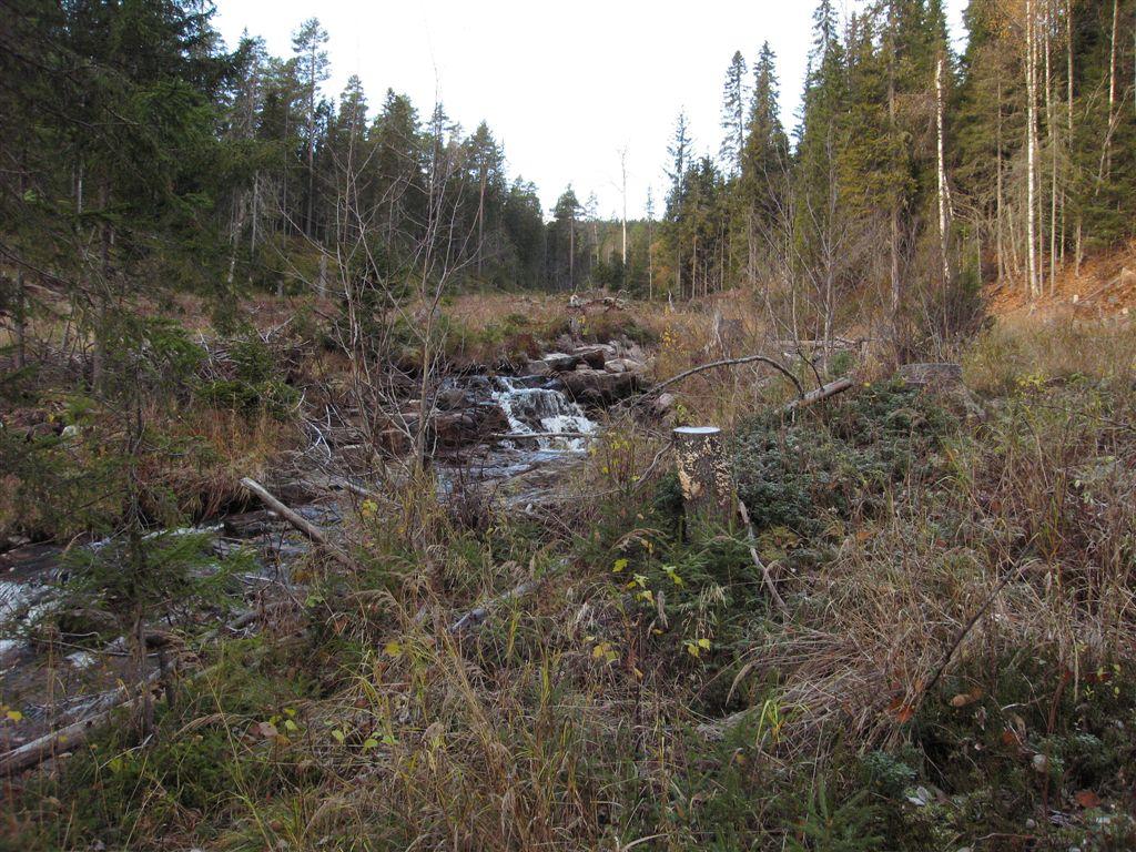 Bilder fra området Grønvollbekken Skogen langs de slakere