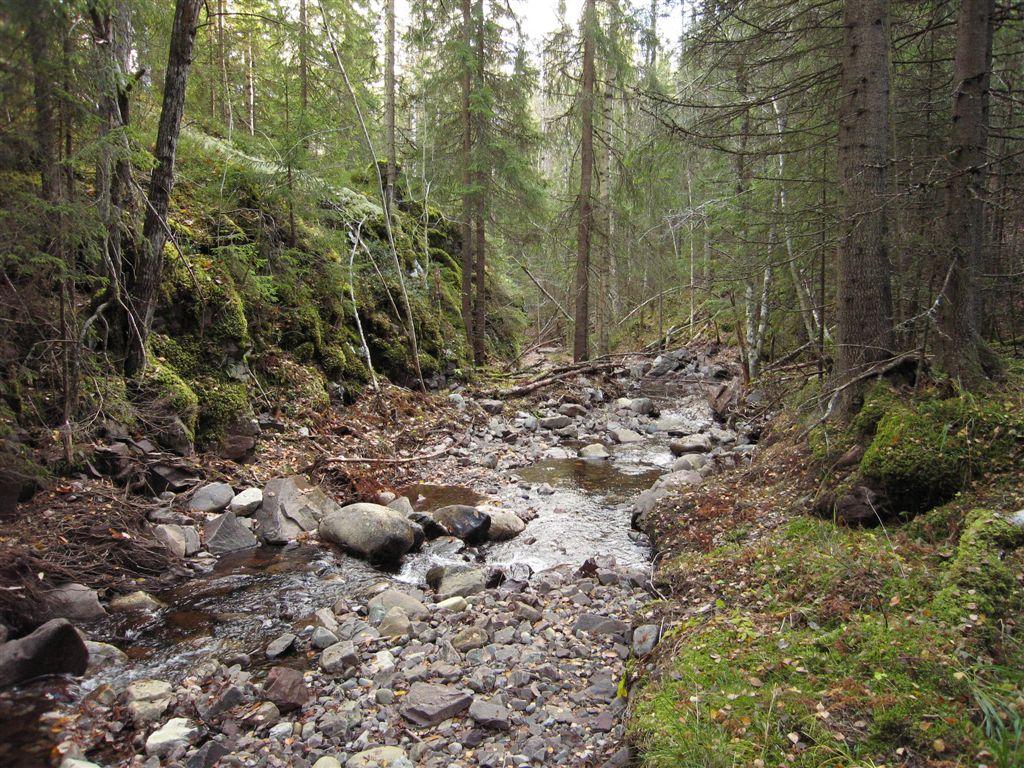 Klepsland Typisk utsnitt av naturen innenfor