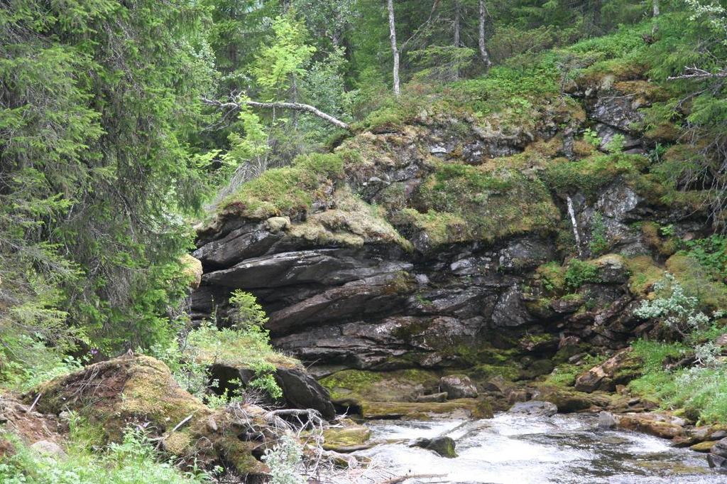 51 Figur 3-17. Naturtypen bekkekløft og bergvegg (F09), øvre del, langs Silåga. Foto Ole Kristian Spikkeland 22. juli 2008.