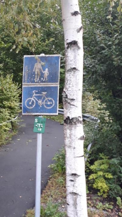 Eksisterende belysning, bestående av tremaster med luftstrekk, er plassert langs nordøstsiden av Oppegårdveien mellom Langhusveien og Lillekleiva.