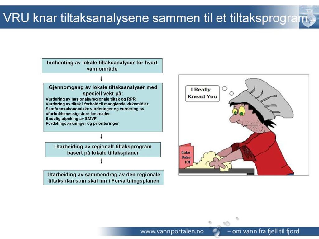 25. (tiltaksprogram) Vannregionmyndigheten skal i samarbeid med vannregionutvalget utarbeide et tiltaksprogram for den enkelte vannregion.