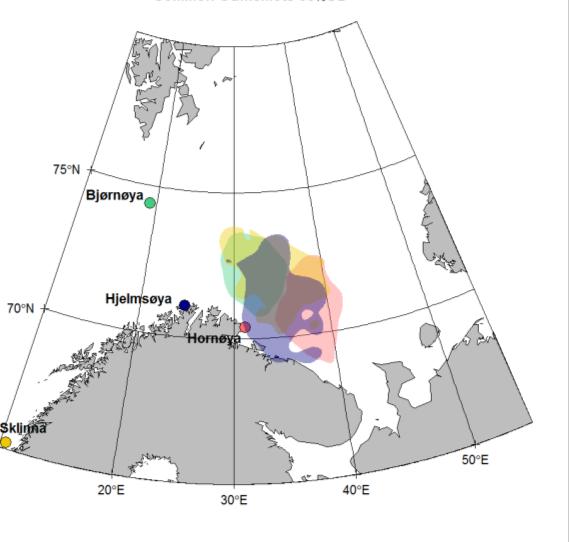 Lomvi fra andre kolonier har også et svømmetrekk mot sørøstlige områder i Barentshavet, og mulige trekkruter er anslått basert på lysloggerdata, som vist i Figur 6. A) B) Figur 6.