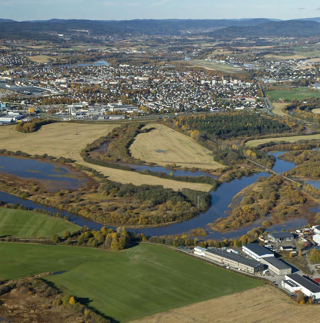 Skog og tre 2019 Naturtyper etter