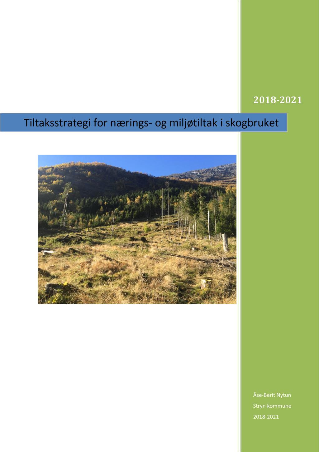 2018-2021 Tiltaksstrategi for nærings - og miljøtiltak