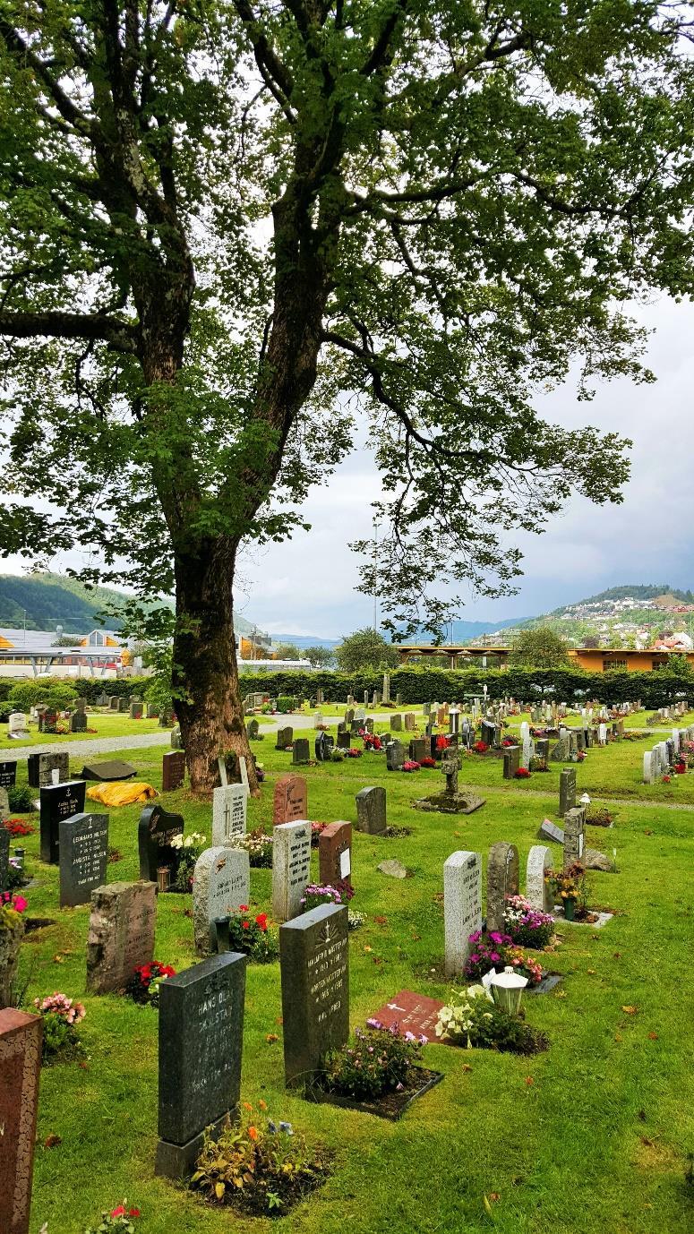 Vedtekter for gravplassene i Bergen Sist endret av Bergen kirkelige fellesråd 24.04.