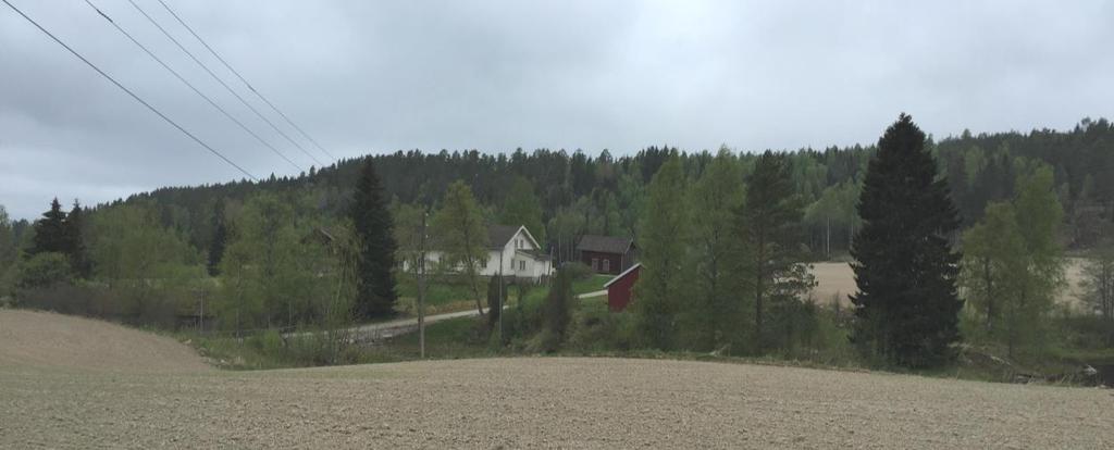 Gårdene østre og vestre Bunes ligger på hver sin side av Setta i et småkupert og åpent kulturlandskap.