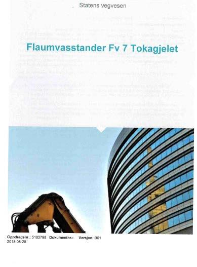 Flaum Flaumsonekartlegging for Steindalselva og Frølandselva Gjentaksintervall 50 og 200 år (med