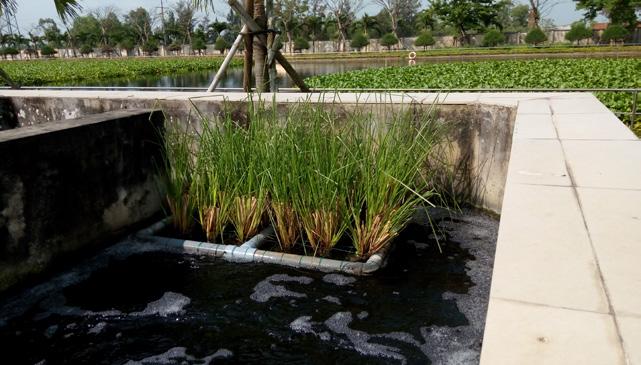 circumstances at (1) Wastewater Treatment Plant of Dien Nam -
