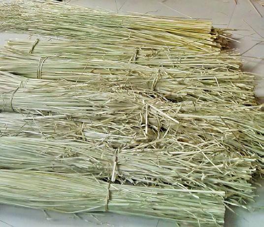 Once the products are completed and entered the market; there will be an opportunity for Vetiver planters and farmers to earn extra income from Vetiver leaves.