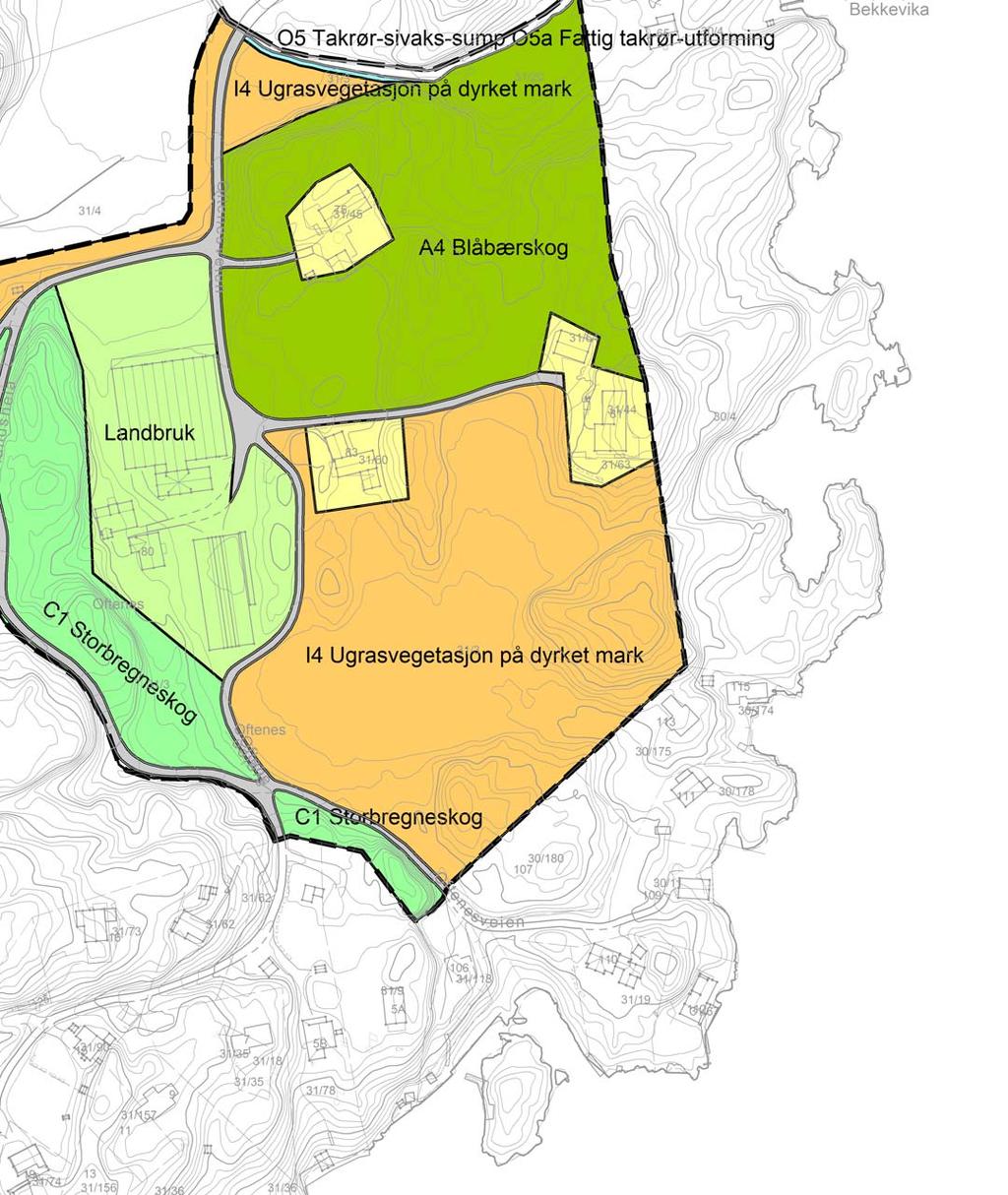 Takrør-sivaks-sump Registrerte naturtyper Tangheia-Osebakken