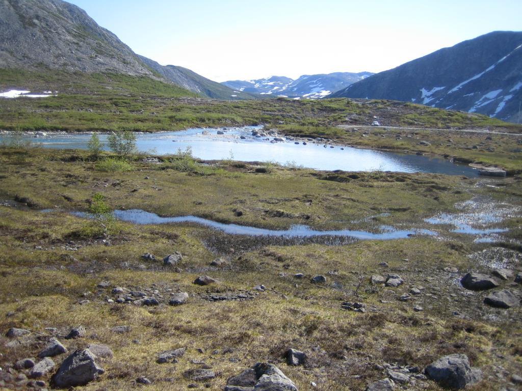 VURDERING ETTER NATURMANGFOLD- LOVEN FOR MJØLFJELL OG BRANDSET SKYTE- OG ØVINGSFELT