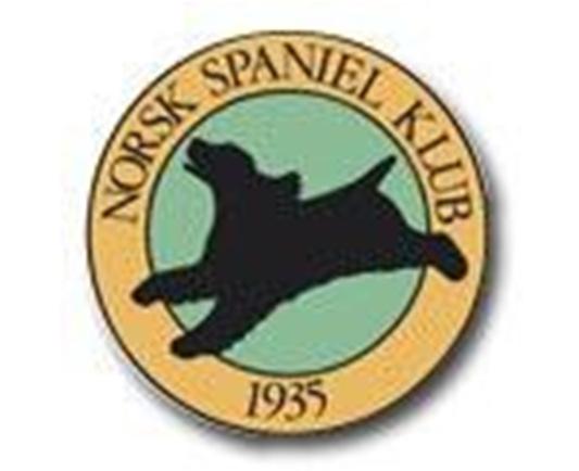 Norsk Spaniel Klub Avdeling Oslo og Akershus Årsmelding 2018 Årsmøte 2018 Årsmøte ble avholdt hos NKK`s lokaler på Brynseng 08.02.2018 Kl 19.