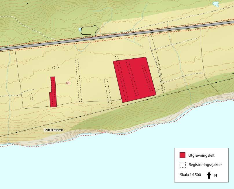 mellom 20 og 40 cm i tykkelse og besto av mørk fuktig torv. Undergrunnen var svært steinholdig og skiftet mellom grå silt/leire og gulbrun/rødbrun kompakt sand og grus.