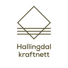Hallingdal Kraftnett AS Vi sikrer verdiskaping i Hallingdal Framoverlent Pålitelig Nær Vi er proaktive og leverer fremtidsrettede løsninger Vi sikrer god kvalitet på alle våre