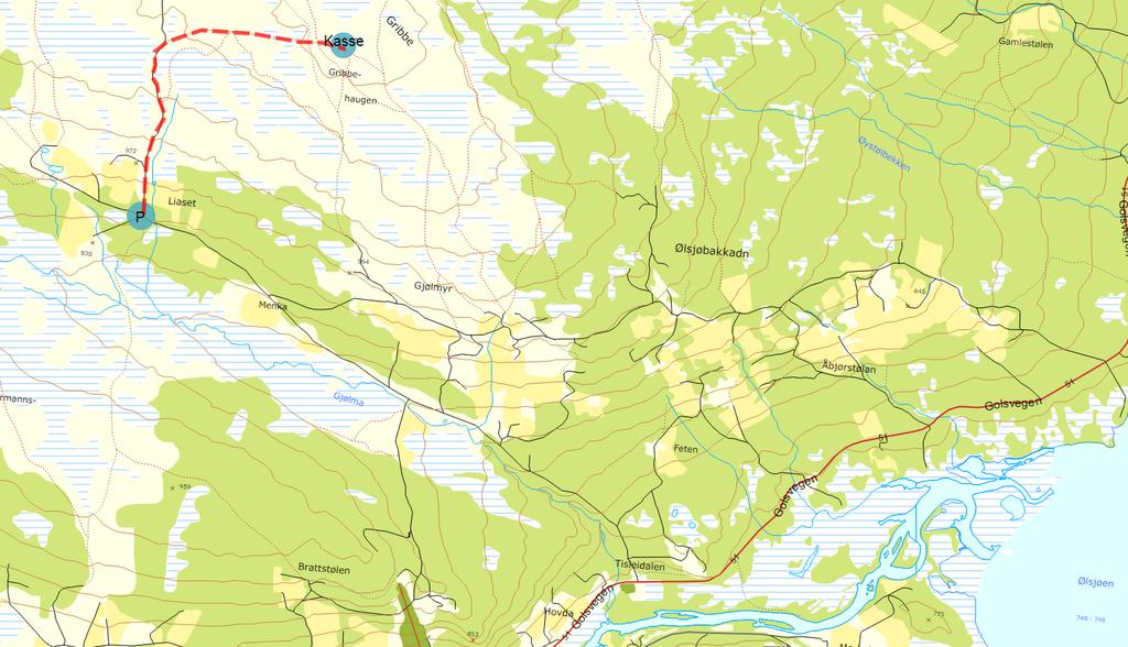 9 Gribbe (1057 moh.) Kjørebeskrivelse: Fra E16 ta av Fv 51 mot Gol. Følg vegen til du ser Tisleidalen kirke, og ta av til høyre til Liaset. Parkering: Liaset, her står også starttavle.