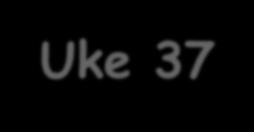 Ukeplan for 5B Uke 37 Sosialt mål : Jeg er vennlig mot de rundt meg. Alversund skule 5911 Alversund Tlf.: 56 37 50 50 (kontor) 56 37 53 03 (arbeidsrom) Epost: alversund.skule@lindas.kommune.