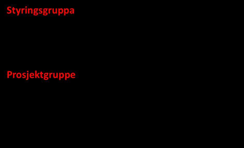 Prosjektets organisering og deltakelse Kommunestyre