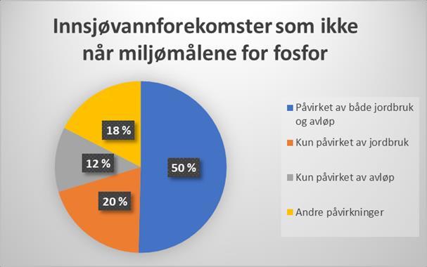 fosfor Foto: Knut