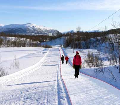 ANDRE TURRUTER Gåløyper på snø I de siste årene har det blitt stadig vanligere å preparere turruter på snø for gående.