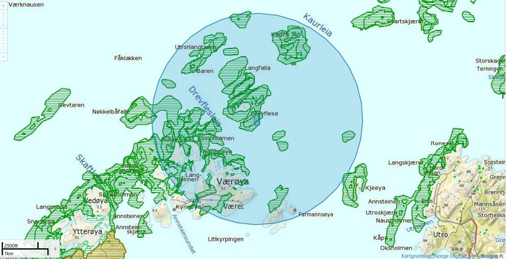 Fig 10. Kartet viser naturtyper som ligger rundt lokaliteten (grønn skravering). (Kilde: Gislink og Naturbasen, Miljødirektoratet.