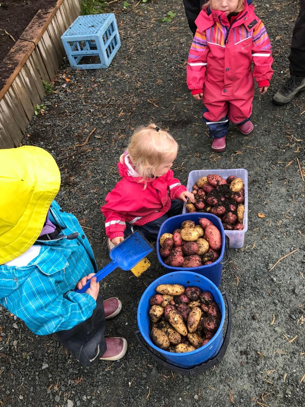 Kropp, bevegelse og helse Barna skal inkluderes i aktiviteter der de kan få være i bevegelse, lek og sosial samhandling og oppleve motivasjon og mestring ut fra egne forutsetninger.