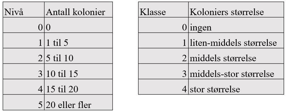 Etter dette var det en assistent med engangs-plasthansker som renset, altså desinfiserte, hanskene sine med Antibac med klorhexidin før hun også vasket pekefingeren til testpersonen med dette