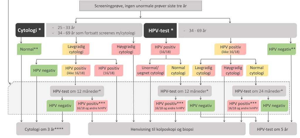 11 Nye prosedyrekoder P06000 screening P06001 screening primær HPV P01541 livmorhalsprøve pga.