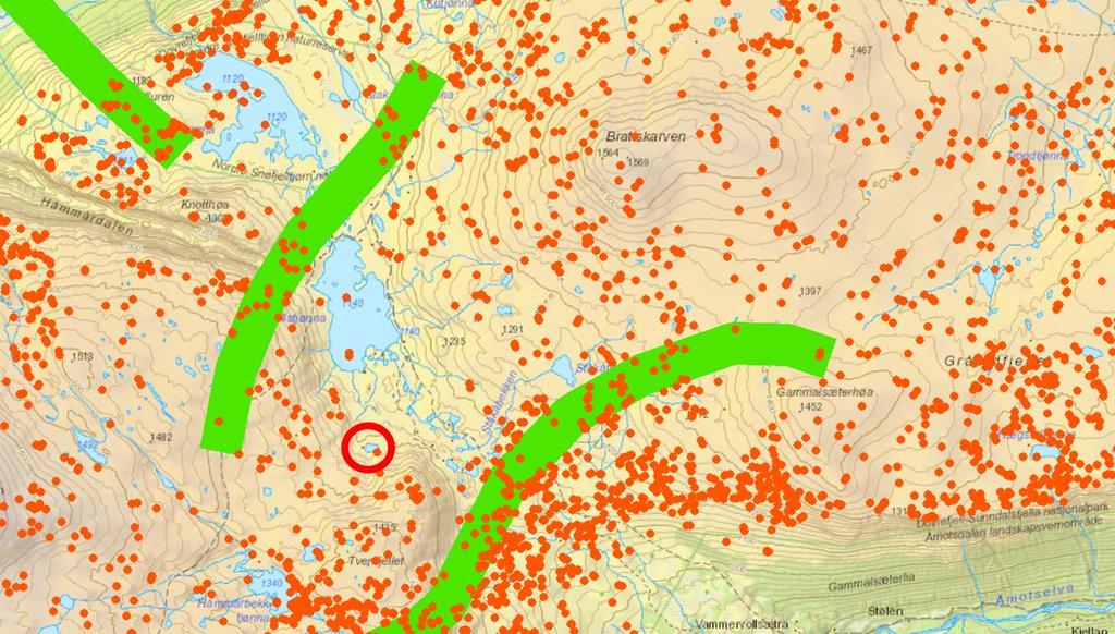 tanke på villreinhensynet, og det er opp til nasjonalparkstyre og behandle søknaden etter verneforskrifter og lignende.