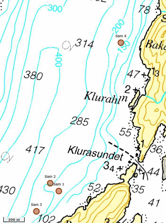 kornstørrelse på fire stasjoner (Sam 1, Sam 2, Sam 3 og Sam 4).