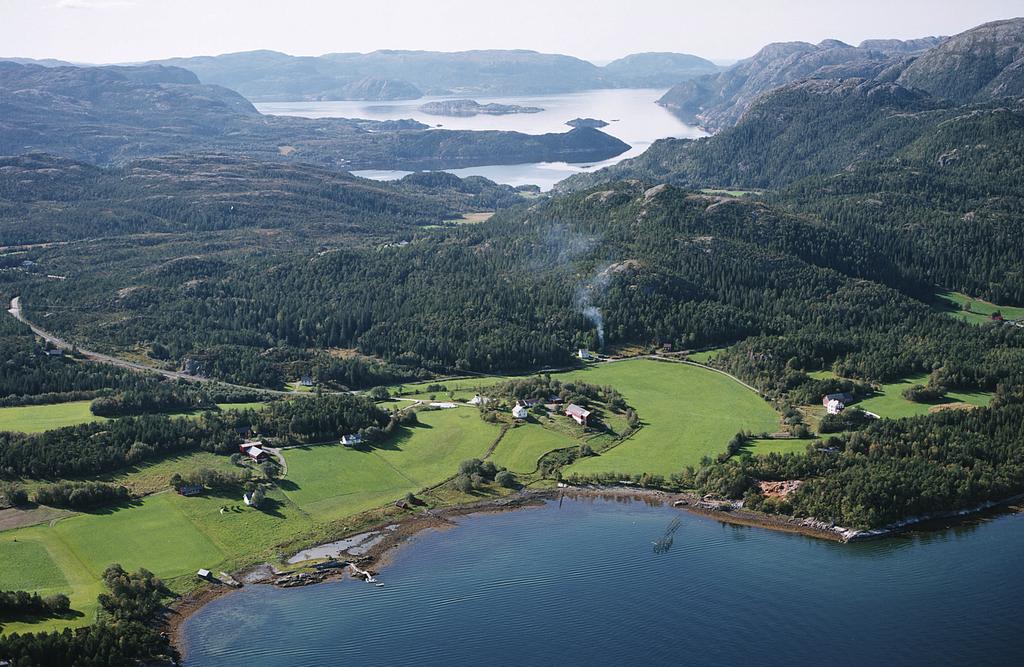 Hjorterapport for Otterøya Namsos kommune -
