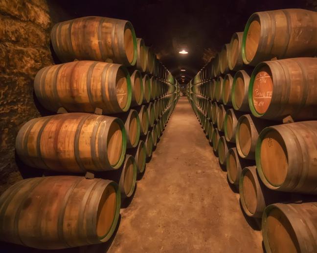 Rioja besøk Bodega Marques de Riscal En guidet tur og smaksopplevelse på en av Riojas mest kjente