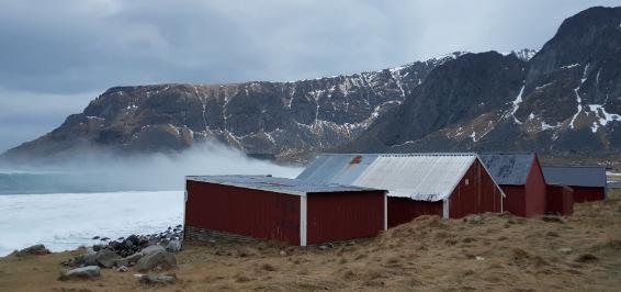 siste stykket ned til stranda. Parkering langs stranda bør være svært begrenset og være tydelig oppmerket og skiltet.