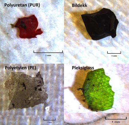 4. Plastanalyse - nytt prosjekt i 2019 Plastanalyse av de minste
