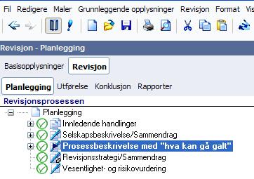 Revisjon Revisjonsprosessen er delt inn i planlegging, utførelse, konklusjon og rapportering.