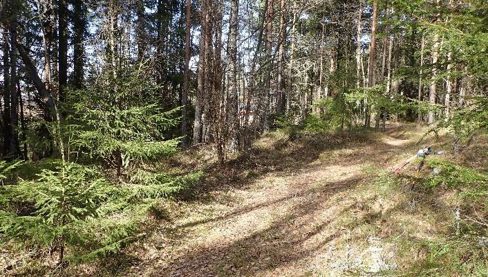 Om lag midt i planområdet flater terrenget ut i en litt større terrasse. Fra denne terrassen skrår terrenget videre bratt nedover både mot nord, sør og vest.