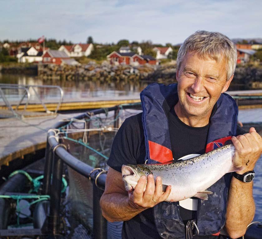 Dag 10 Sørgående rute BODØ RØRVIK Stevnemøte med de syv søstre 26 Om morgenen krysser vi polarsirkelen og legger kursen mot Helgelandskysten med en overflod av øyer og holmer, rev og