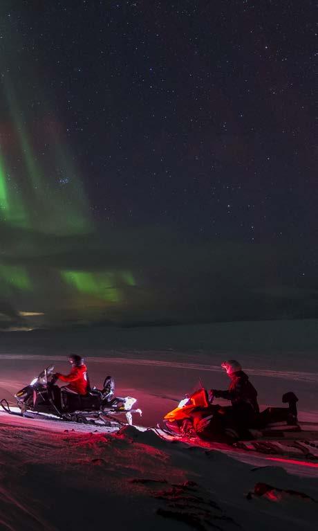 NORDKAPP 71 N Reinsdyrene er en viktig del av den samiske kulturen.