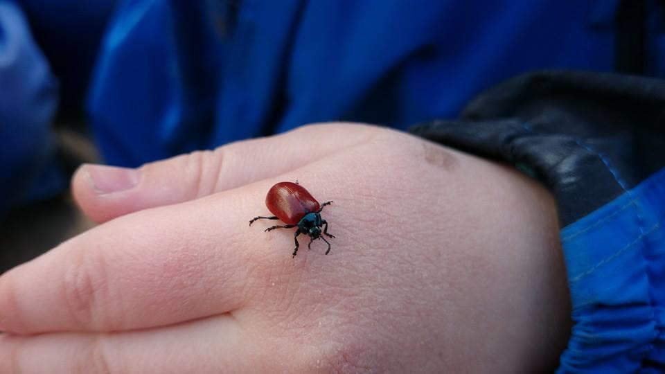 Gjennom den sosiale leken, som vi har mest av i barnehagen, legges grunnlaget for læring og sosial kompetanse. Det som karakteriserer og kjennetegner leken, er at handlingen skjer på- liksom.